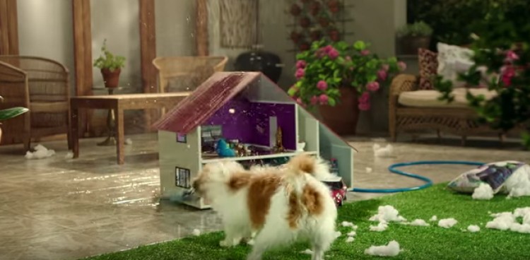 Small dog looking at a dollhouse.