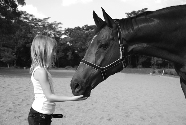 A young girl strokes her horse's chin in the paddock.