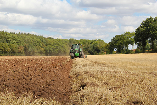 A tractor ploughing a dry grassy field surrounded by trees and a cloudy sky.