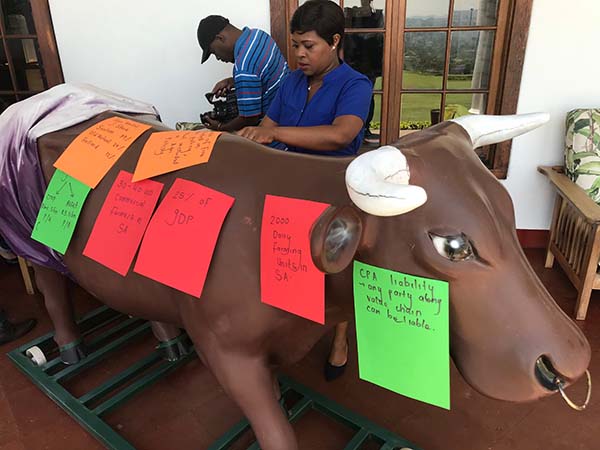 Participant recalling facts from sticky notes stuck to a bull sculpture